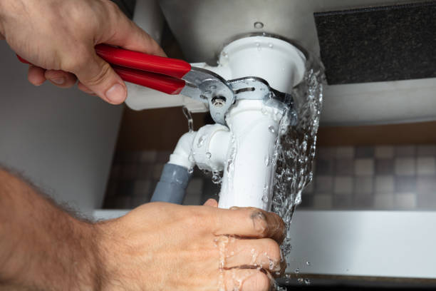 Best Residential water damage restoration  in Roanoke, IN