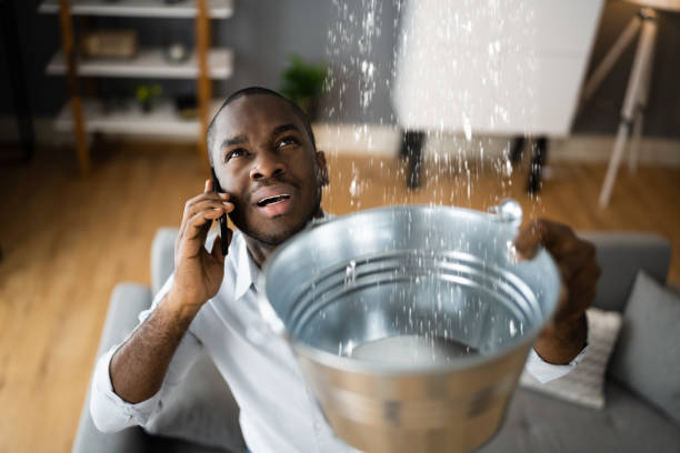 Best Flood restoration services  in Roanoke, IN