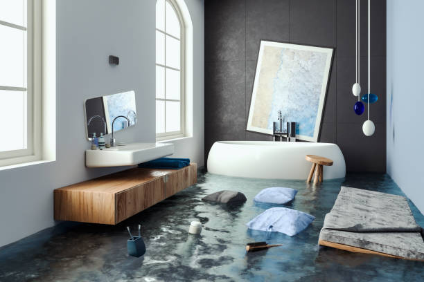 Best Basement water damage restoration  in Roanoke, IN