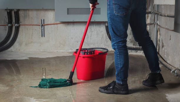 Best Commercial water damage restoration  in Roanoke, IN