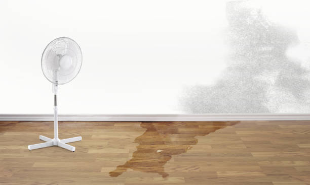 Roanoke, IN Water damage restoration Company
