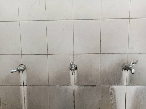 Best Carpet water damage restoration  in Roanoke, IN