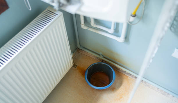 Best Water damage contractors near me  in Roanoke, IN