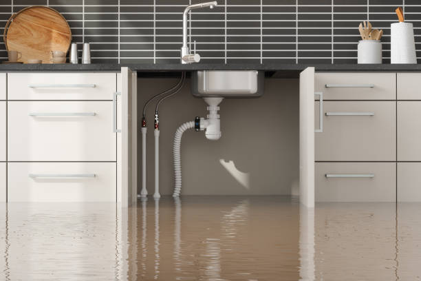 Carpet water damage restoration in Roanoke, IN