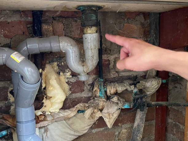 Best Water damage restoration near me  in Roanoke, IN