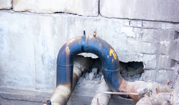 Best Mold removal after water damage  in Roanoke, IN