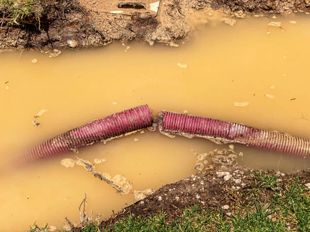 Best Local water damage restoration  in Roanoke, IN