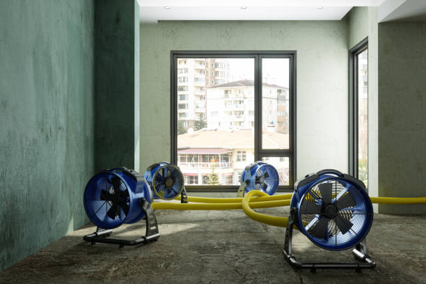 Best 24/7 water damage repair  in Roanoke, IN
