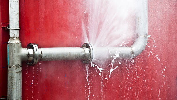 Best Commercial water damage restoration  in Roanoke, IN