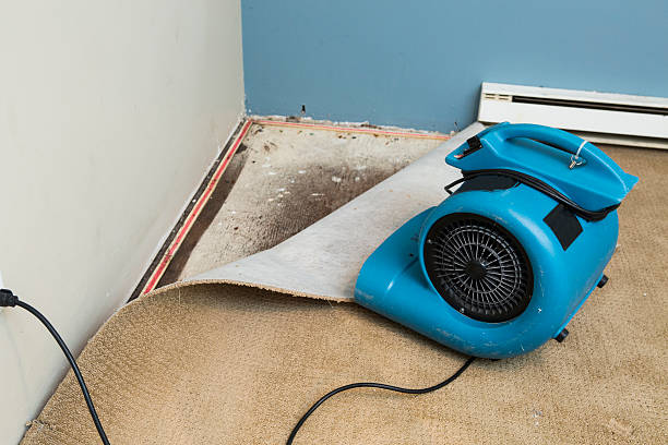 Local water damage restoration in Roanoke, IN